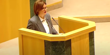 ამა ნაცვლიშვილის სიტყვას პარლამენტში ხმაური მოჰყვა – დეტალები