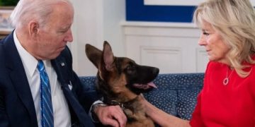 ბაიდენის ძაღლმა საიდუმლო სამსახურის პერსონალს, მინიმუმ, 24-ჯერ უკბინა