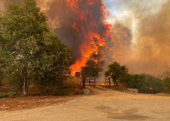 ცენტრალურ ჩილეში ტყის ხანძრის შედეგად დაღუპულთა რაოდენობამ 50-ს გადააჭარბა