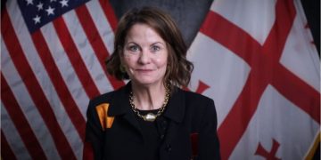 ხვალ პარლამენტში რობინ დანიგანს მოუსმენენ