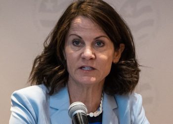 რა საფრთხე ემუქრება საქართველოს რუსეთისგან წინასაარჩევნოდ? – აშშ–ის ელჩის განცხადება