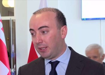 “ემიგრანტების ფული გინდათ, ხოლო მათი არჩევნებში მონაწილეობა არა!” – ხაჯიშვილი კობახიძეს