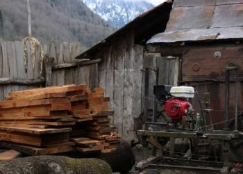 გურიაში უკანონო სახერხი საამქრო გამოავლინეს