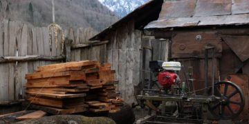 გურიაში უკანონო სახერხი საამქრო გამოავლინეს