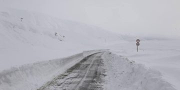 ვითარება გზებზე – დეპარტამენტი