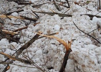 ზვავი აჭარაში – რა ხდება სოფელ თაგოში? – ვიდეო