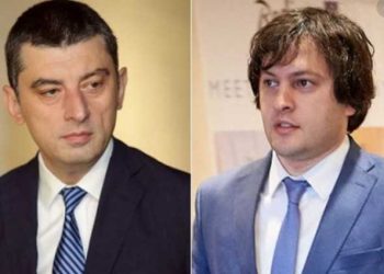 “კობახიძის პროგრამის 80 პროცენტი გახარიას გუნდის დაწერილია – მადლობა ივანიშვილს სუსტი პრემიერისთვის” – ანა ბუჩუკური