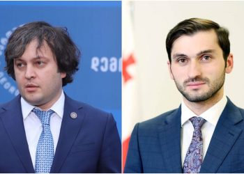 “რიჟვაძეს მშვიდად რომ ზის, შენიშვნას მივცემდი, რომ დაუყოვნებლივ გაემგზავროს მთიან აჭარაში” – ელისაშვილი კობახიძეს