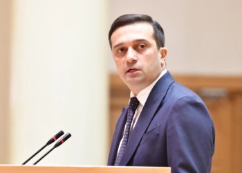 ომბუდსმენი: დადებითად ვაფასებ გიორგი მამალაძის გათავისუფლების ფაქტს