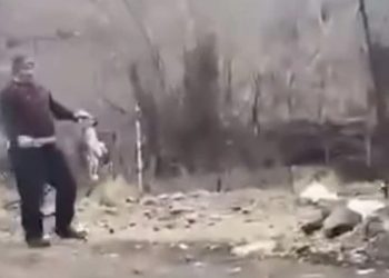 „მარნეულში კაცმა ცემა ლეკვი და სიკვდილის პირზე მიიყვანა!!!!“ (ვიდეო)