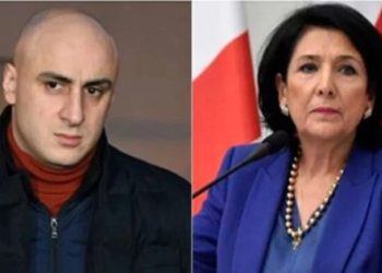 “ძალიან მნიშვნელოვანი, რომ პრეზიდენტის ხედვა გატარდეს პრაქტიკაში” – მელია