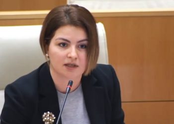 ივანიშვილი რუს ოლიგარქად გაფორმდა – ნაცვლიშვილი