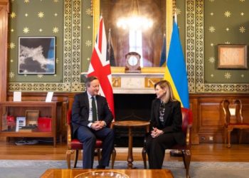 ოლენა ზელენსკა დევიდ ქემერონს შეხვდა