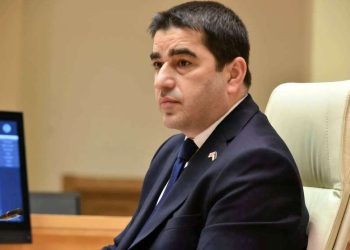 შინაური ცხოველის ბინადრობის ბუნებრივი არეალი არ არის ქუჩა. შინაური ცხოველი უნდა იყოს ადამიანთან ერთად – შალვა პაპუაშვილი