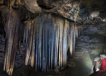 პრომეთე, მარტვილი, სათაფლია… – 2023 წლის ყველაზე მონახულებადი დაცული ტერიტორიების რეიტინგი