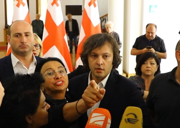 “საიდან მოიტანეთ რუსეთის დახმარება. ვის თავში იხარშება ეს აზრები” – ირმა ბერიძე