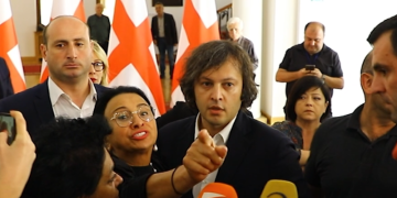 “საიდან მოიტანეთ რუსეთის დახმარება. ვის თავში იხარშება ეს აზრები” – ირმა ბერიძე