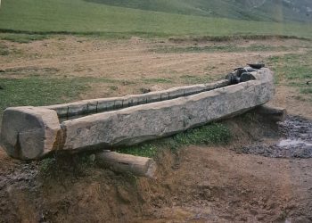 “ადიგენის ერთ სოფელში 9 მეტრიანი ავაზანიც ვნახე” – ზურაბ ბაუჟაძე