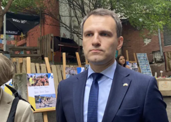 უკრაინამ საქართველოს მთავრობას საინჟინრო ტექნიკა სთხოვა – “იმედია, მალე მივიღებთ პასუხს”