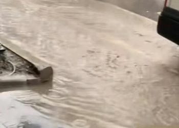 “წერეთლის გამზირზე უკვე წყალი ჩადგა  ასე ხდება როდესაც გუტენ ტრაკენის მეთოდით კეთდება” – ჩემი ქალაქი მკლავს