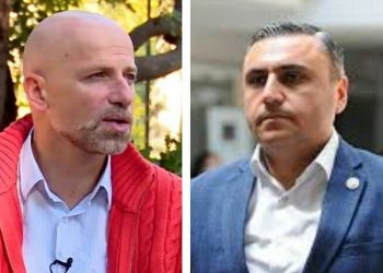 “სულ სხვაა სეირნობა-სეირნობით რომ წახვალ ემიგრაციაში” – მეტრეველი