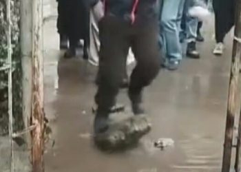 თბილისი, 2024 წელი, ბავშვები მიდიან სკოლაში