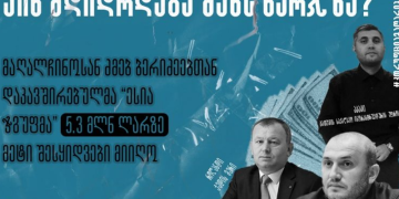 მაღალჩინოსან ძმებ ბერიძეებთან დაკავშირებულმა კომპანიამ სახელმწიფო შესყიდვებიდან 5.3 მილიონ ლარზე მეტი მიიღო