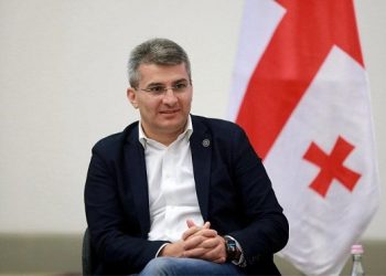 3 წელი თავდაუზოგავად იმუშავა და თუ მართლა შვებულებაში გავიდა, დიდი ამბავი – მდინარაძე ღარიბაშვილზე