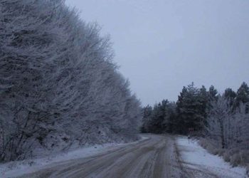 ნიჩბისი-დიდგორი-დიდი თონეთის გზაზე ავტოტრანსპორტით მოძრაობა აკრძალულია