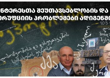 ადიგენის მერის შვილმა მერიისგან 103 829 ლარი მიიღო, მერის ძმა მუნიციპალიტეტის დასუფთავების სამსახურის დირექტორია – საერთაშორისო გამჭვირვალობა