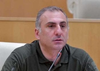 „რა 2008 წელი, აქამდე საღათას ძილით ეძინათ თუ სად იყვნენ?” – ელისაშვილი „ხალხის ძალის“ განცხადებაზე