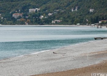 ოკუპირებულ აფხაზეთში ფრინველის გრიპი გაჩნდა, რომელიც ადამიანის ჯანმრთელობისთვის საშიშია