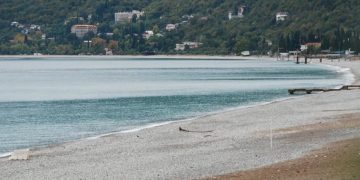 ოკუპირებულ აფხაზეთში ფრინველის გრიპი გაჩნდა, რომელიც ადამიანის ჯანმრთელობისთვის საშიშია