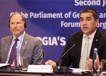 ყალბი თავდასხმა, ყალბი დასკვნები – პაპუაშვილის ახალი ბრალდებები პარტნიორებს