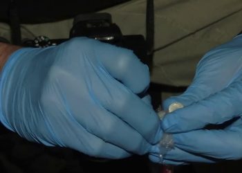 “ირანის მოქალაქემ „ჰეროინი“ საქართველოში სხეულით შემოიტანა” – მედია