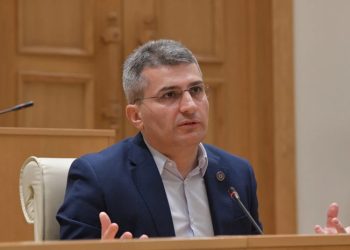 „გაჭირვებულ ადამიანს რომ ეუბნები, მე პროგრესი მაქვს, ბუნებრივია, გაღიზიანდება… მეც რომ ასე ვიყო, ნერვები მომეშლებოდა“ – მამუკა მდინარაძე