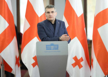 „დაამტკიცონ სწორი ვარ, თუ ვტყუი“ – მამუკა მდინარაძე