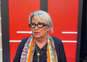 „სალომე ზურაბიშვილი მოლოდინის რეჟიმშია, ელოდება “პატრონების” ბრძანებას“ – ნინო ფოჩხუა