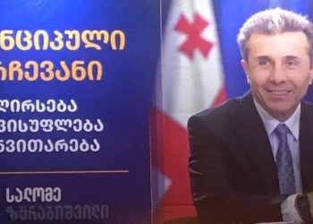 “ვითომ პრეზიდენტი”, ვეტო და ოცნების გეგმა – მდინარაძე