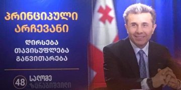 “ვითომ პრეზიდენტი”, ვეტო და ოცნების გეგმა – მდინარაძე
