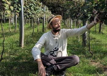 “ამ არც თუ ისე ჰუმანური გზით ვაღწევთ მევენახეობაში ორ ძირითად მიზანს: ნაყოფიერებასა და ხარისხს” – ვახუშტი მენაბდე