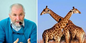 “ჟირაფს ასე მაღაზიაში ვერ იყიდით, სადღაც უნდა დაიბადოს” – თბილისის ზოოპარკის დირექტორი