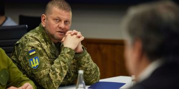 ზალუჟნი დიდ ბრიტანეთში უკრაინის ელჩად დაინიშნა