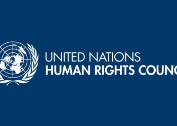 გაიტანეთ კანონპროექტი – გაეროს ადამიანის უფლებათა კომიტეტი ოცნებას