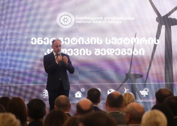დავით ნარმანია: მზარდია საბანკო სექტორის მიერ ენერგეტიკის სექტორით დაინტერესება