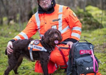 ,,მიატოვეს და ქუჩის ძაღლად აქციეს ზუგდიდში, გერმანიაში კი მაშველი ძაღლი გახდა” – ,,ფრიცის” ამბავი