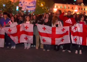 ,, წესით ამ ბაღნებს მე უნდა ვიცავდე, არადა ამ ბაღნებს რომ ვუყურებ თავს ვგრძნობ დაცულად” – მამუკა ღლონტი