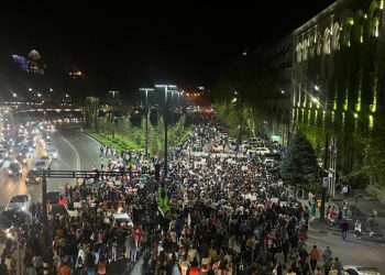 ახალგაზრდები პრეზიდენტის ადმინისტრაციიდან პარლამენტისკენ წავიდნენ – საპროტესტო აქციები