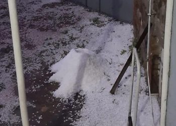 ძლიერმა სეტყვამ საგარეჯოს მუნიციპალიტეტი დააზარალა