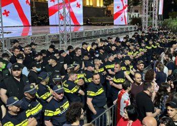 ,,აი, ამ პოლიციელებს იპოთეკური სესხები არ უნდა ჰქონდეთ დასაფარი!“ – მაია ნიკოლეიშვილი